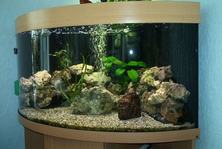 Walter Herrmann  Aufgenommen am 12.3.2005