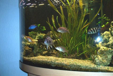 Walter Herrmann  Aufgenommen am 12.3.2005