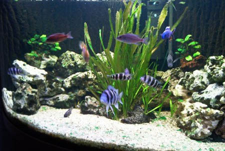 Walter Herrmann  Aufgenommen am 12.3.2005