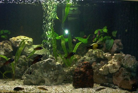 Walter Herrmann Aufgenommen am 12.3.2005